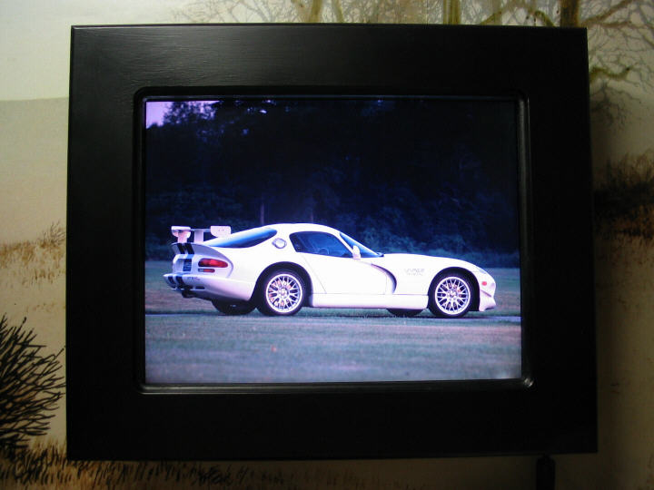 My picture frame displaying a Viper