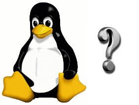 Should I opt for a linux distribution?